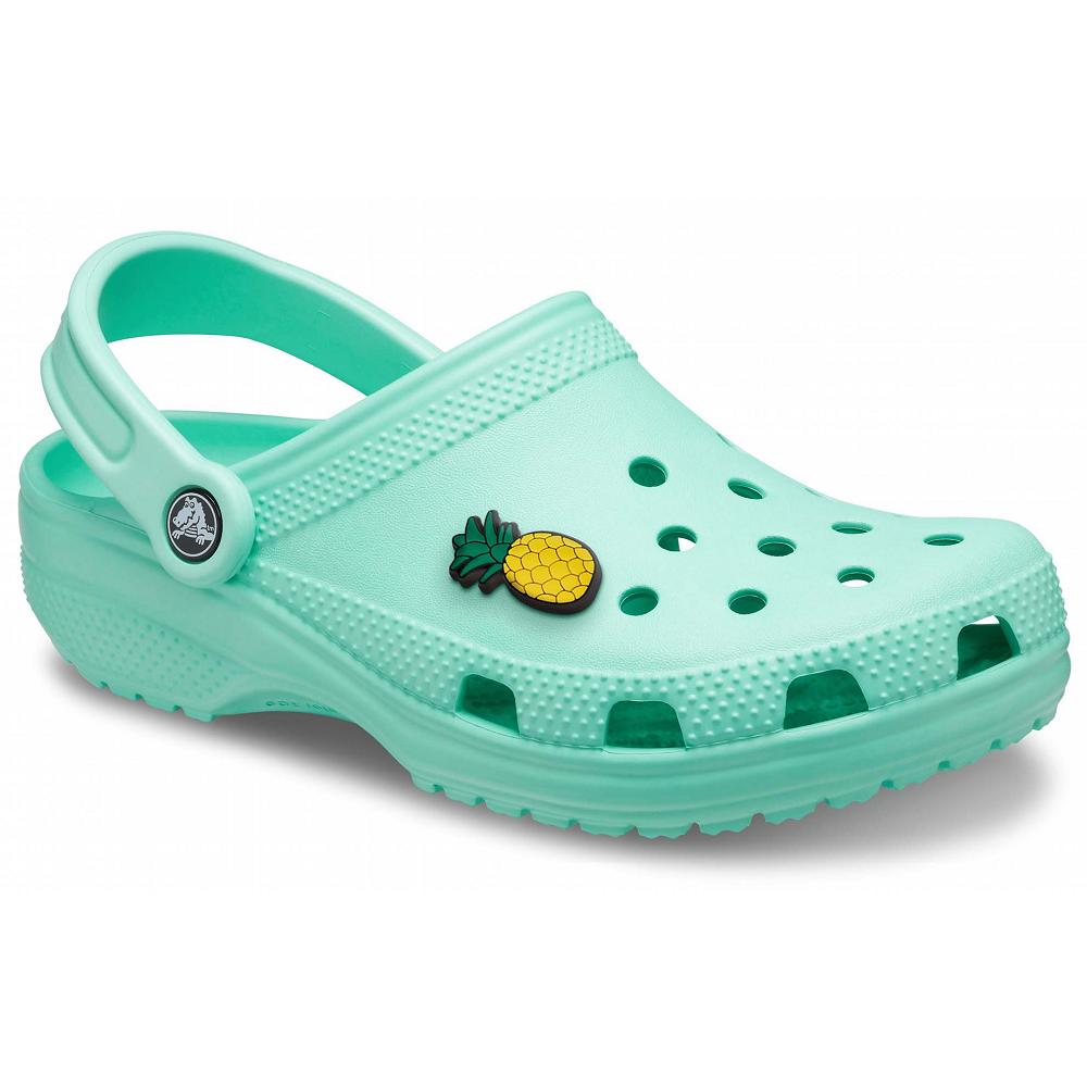 Aqua Men's Crocs Classic Shoe Clogs | NZ 0841OKIR
